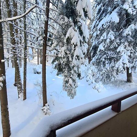 Forest Apartment/ Villa Park Borovets Eksteriør billede