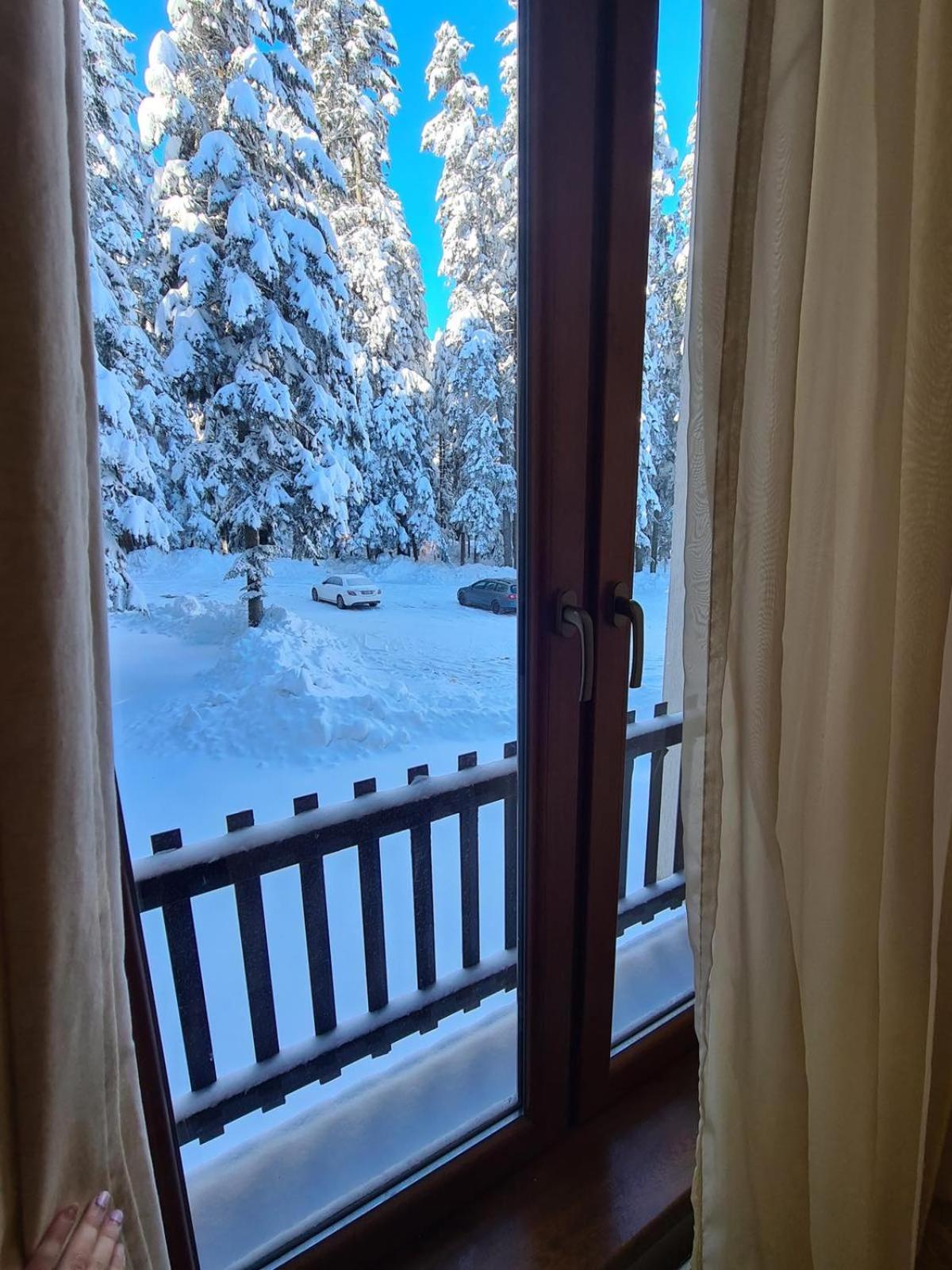 Forest Apartment/ Villa Park Borovets Eksteriør billede